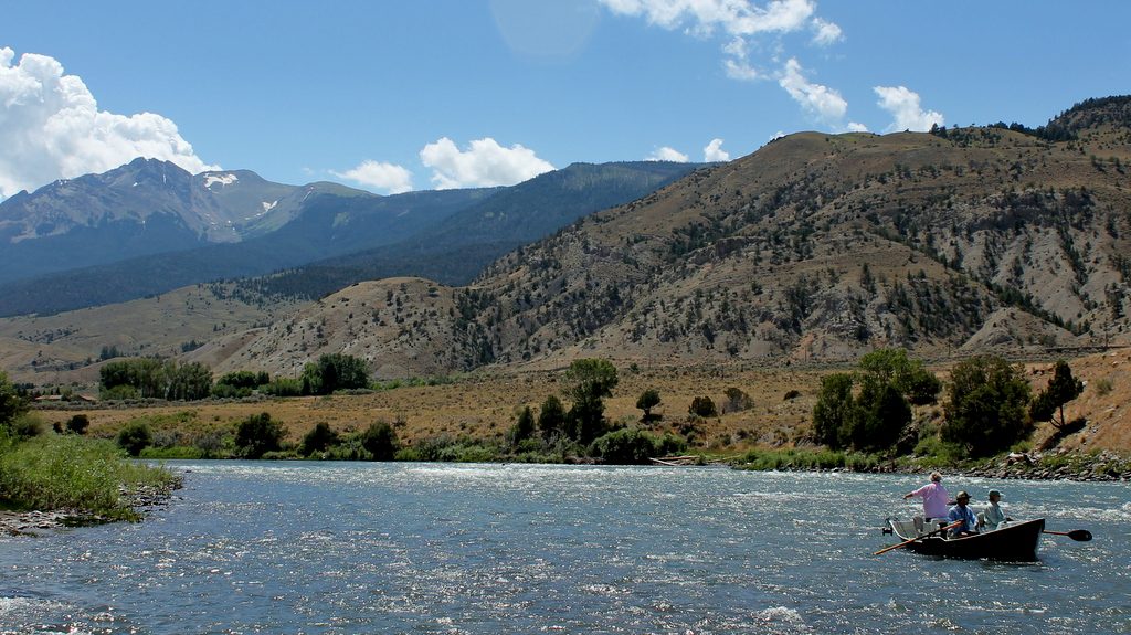Angler fishing in a river